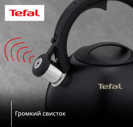 Чайник металлический Tefal Intuition N4180417 2.5л. черный 3110601825