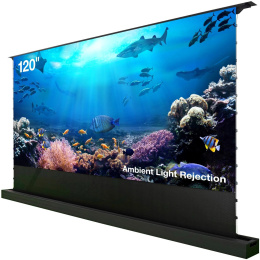 Экран Cactus FloorRising CS-PSFRALR-263X148,  263х148 см, 16:9,  напольный черный