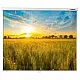 Экран Lumien 200x200см Eco Picture LEP-100103 1:1 настенно-потолочный рулонный