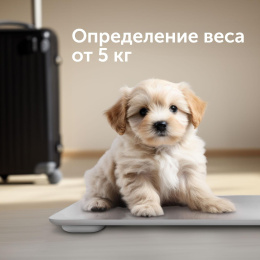 Напольные весы RED SOLUTION SkyBalance RS-762S, до 180кг, цвет: белый