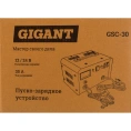 Зарядно-предпусковое устройство Gigant GSC-30 Boost