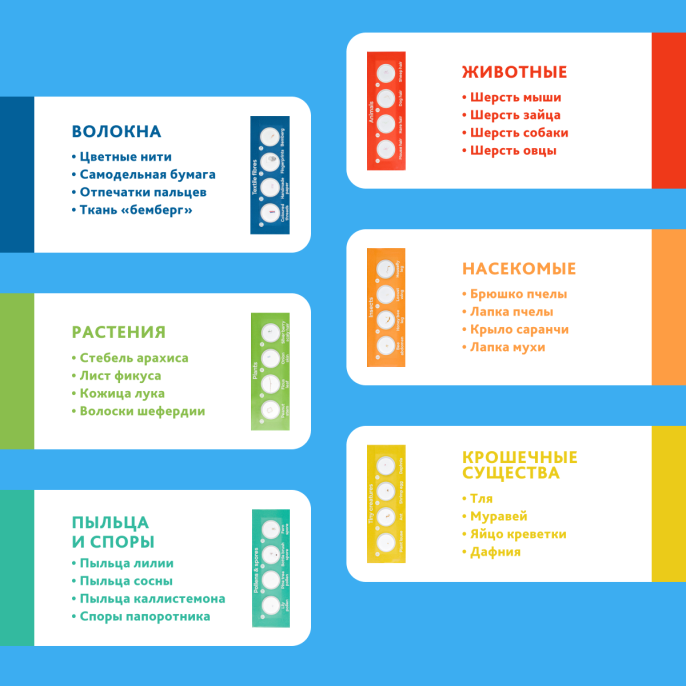 Микроскоп Levenhuk Discovery Micro Solar с книгой