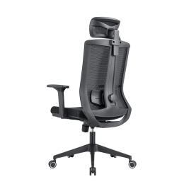 Кресло компьютерное EVOLUTION ERGO BLISS Black