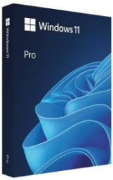 Наклейка FQC-10528 Microsoft Windows 11 Pro, 64 bit, Eng, без диска ключ Retail