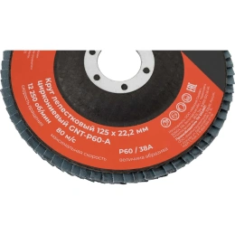 Круг лепестковый 125х22,2 мм; P60; цирконий Gigant Professional GNT-P60-А