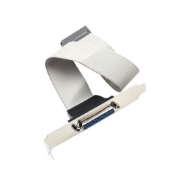 Кабель Advantech 1700020294-01 F Cable D-SUB 25P/IDE#3 2*13P-2.54 42CM W/BKT '1700020294-01