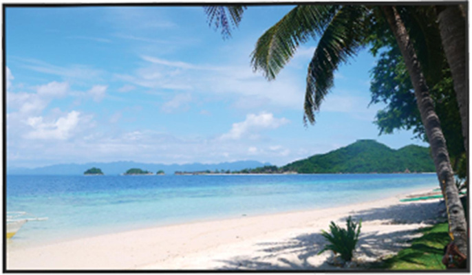 Монитор Dahua DHI-LM43-S400 43" 3840x2160