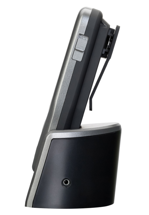 Термощуп кулинарный Levenhuk F30, беспроводной