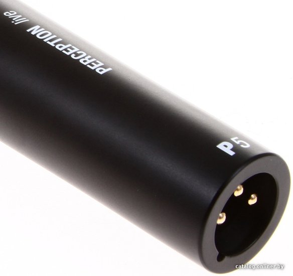 Микрофон AKG P5S, черный [3100h00120]