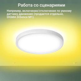 Умный светильник Digma TopLight TL40 потолочный