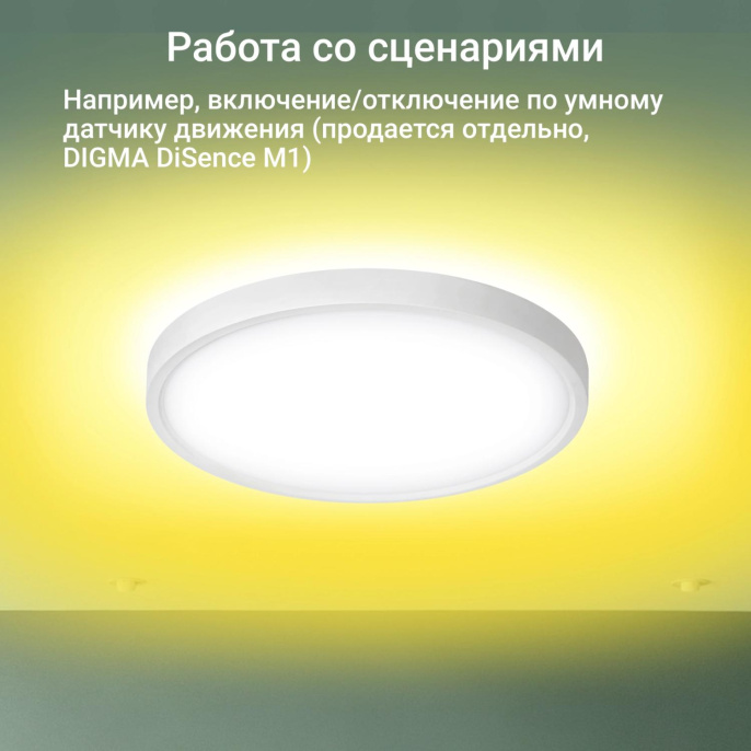 Умный светильник Digma TopLight TL40 потолочный
