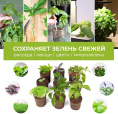 Набор питательных губок Cactus CS-SPONGE-20 для проращивания (упак.:20шт) коробка