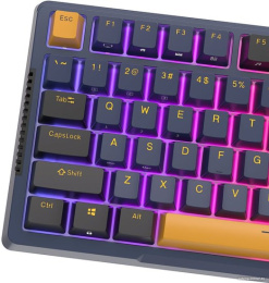 Клавиатура Royal Kludge RK-H81 Star Night черный/коричневый, механическая, USB/2.4 GHz/Bluetoоth, подсветка RGB, горячая замена клавиш, Sky Cyan свичи