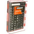 Набор бит 61 шт (PH, PZ, SL, T(TX), HEX, SQ(R)) Gigant G-11333