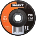 Круг лепестковый 125x22.2 мм; P40 Gigant G-11035