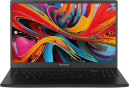 Ноутбук 15.6" IPS FHD RIKOR NINO 201.1 черный (AMD Ryzen 3 5400U/8Gb/256Gb SSD/VGA int/W11Pro/RJ45) (F86340A7)