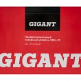 Профессиональный лазерный уровень 4D 16 линий Gigant GBLL-12