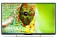 Телевизор LED PolarLine 43" 43PL51STC-SM черный/FULL HD/50Hz/DVB-T/DVB-T2/DVB-C/DVB-S2/USB/WiFi/Smart TV (RUS)