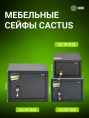 Сейф мебельный Cactus CS-SF-K25 взломостойкий 250x350x250 мм ключевой