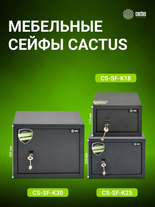 Сейф мебельный Cactus CS-SF-K25 взломостойкий 250x350x250 мм ключевой