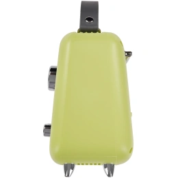 Радиоприемник портативный Сигнал БЗРП Fresh РП-343 зеленый USB SD/microSD