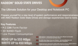 SSD накопитель AMD Radeon R5M256G8 256ГБ, M.2 2280, SATA III, M.2