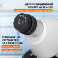 Микроскоп Levenhuk Discovery Micro Polar с книгой