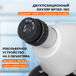 Микроскоп Levenhuk Discovery Micro Polar с книгой