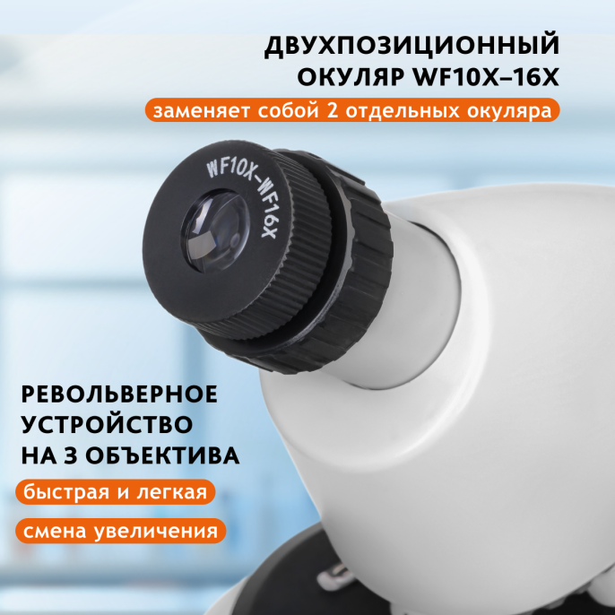 Микроскоп Levenhuk Discovery Micro Polar с книгой