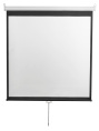 Экран Digis 135" 240x240см Optimal-D DSOD-1107 1:1 настенно-потолочный рулонный