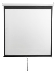 Экран Digis 135" 240x240см Optimal-D DSOD-1107 1:1 настенно-потолочный рулонный