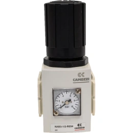 Регулятор давления с манометром NXE3-1/2-R004 1/2 дюйма Camozzi SRF40-7222-2010M4