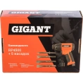 Пневмодолото (5 Дж; оснастка 10 мм шестигранник) Gigant RP4500 + 5 насадок