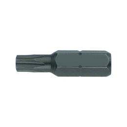 Вставка (бита) торцевая 10 мм HONITON, TORX Т25 BT-A10T25 В0000000188318