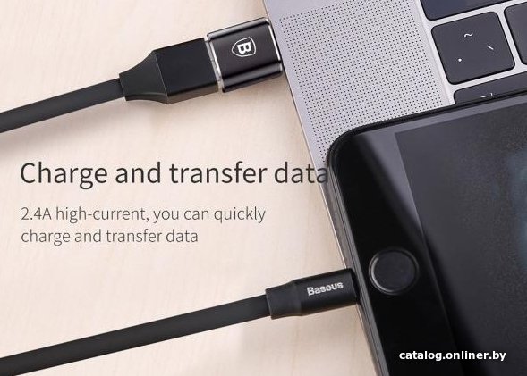 Переходник Baseus CATOTG-01 Type-C (M) to USB (F) без провода Black