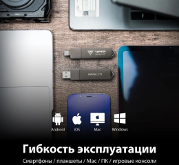 512ГБ Внешний диск SSD Patriot Viper PVP30, USB 3.2 Gen 2, запись - 1000МБ/с, чтение - 1000МБ/с, черный [pvp30512g28udg]