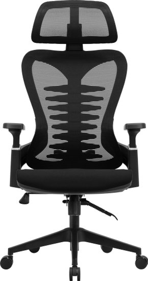 Кресло компьютерное EVOLUTION HarmonySpine