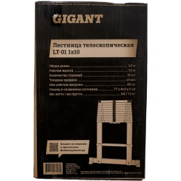 Лестница телескопическая 2.9м Gigant LT-01 1x10