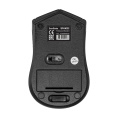 Беспроводная мышь ExeGate Professional Standard SR-9022 радиоканал 2,4 ГГц, USB, оптическая, 1200dpi, 3D, 3 кнопки и колесо прокрутки, черная, Color Box EX269648RUS