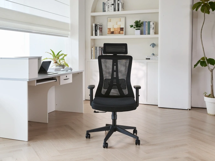 Кресло офисное компьютерное EVOLUTION ErgoLine 3 Black