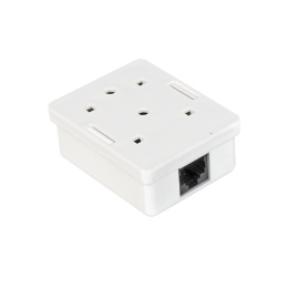 Розетка внешняя ExeGate SM1-RJ45-C5 RJ-45 кат.5/5E UTP Krone/110 EX271122RUS