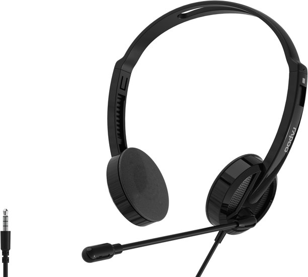RAPOO Гарнитура проводная H101-BL, цвет - черный 12458