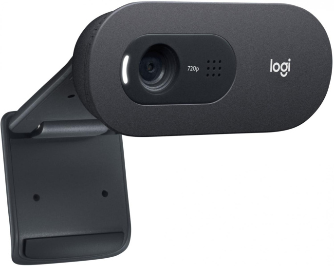 Web-камера Logitech HD Webcam C505e, черный [960-001372]