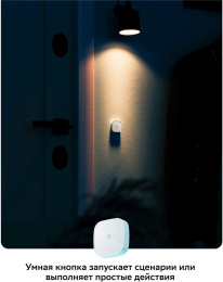 Умная кнопка SBER SBDV-00032,  р.д.22м,  белый