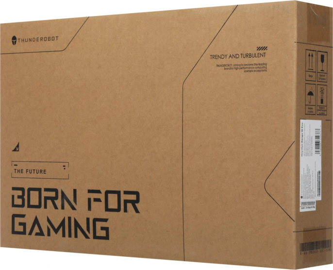 Ноутбук Thunderobot Range 16 Evo Core i5 13420H 16Gb SSD1Tb NVIDIA GeForce RTX5050 8Gb 16" IPS QHD 2560x1600 FreeDOS black WiFi BT Cam JT009P00KRU