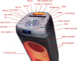 Колонка портативная Microlab PT802, 200Вт, черный