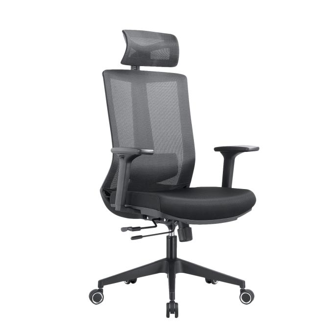 Кресло компьютерное EVOLUTION ERGO BLISS Black