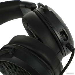 Наушники с микрофоном Acer AHW120 черный 2.1м мониторные USB оголовье ZL.HDSCC.01C