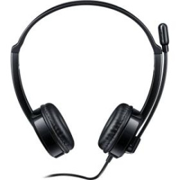 RAPOO Гарнитура проводная H120-BL, цвет - черный (18008)