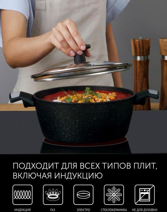 Кастрюля Polaris Monolit 24C 4л. d 24см с крышкой черный 015249